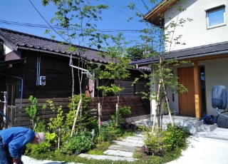 住宅の前の道に、住宅の2階まで伸びる樹木が2本植えられています